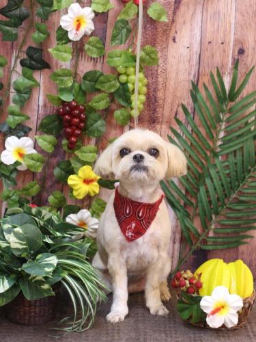 20230804モカちゃん